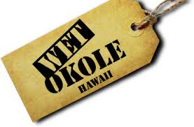 Wet Okole Coupon